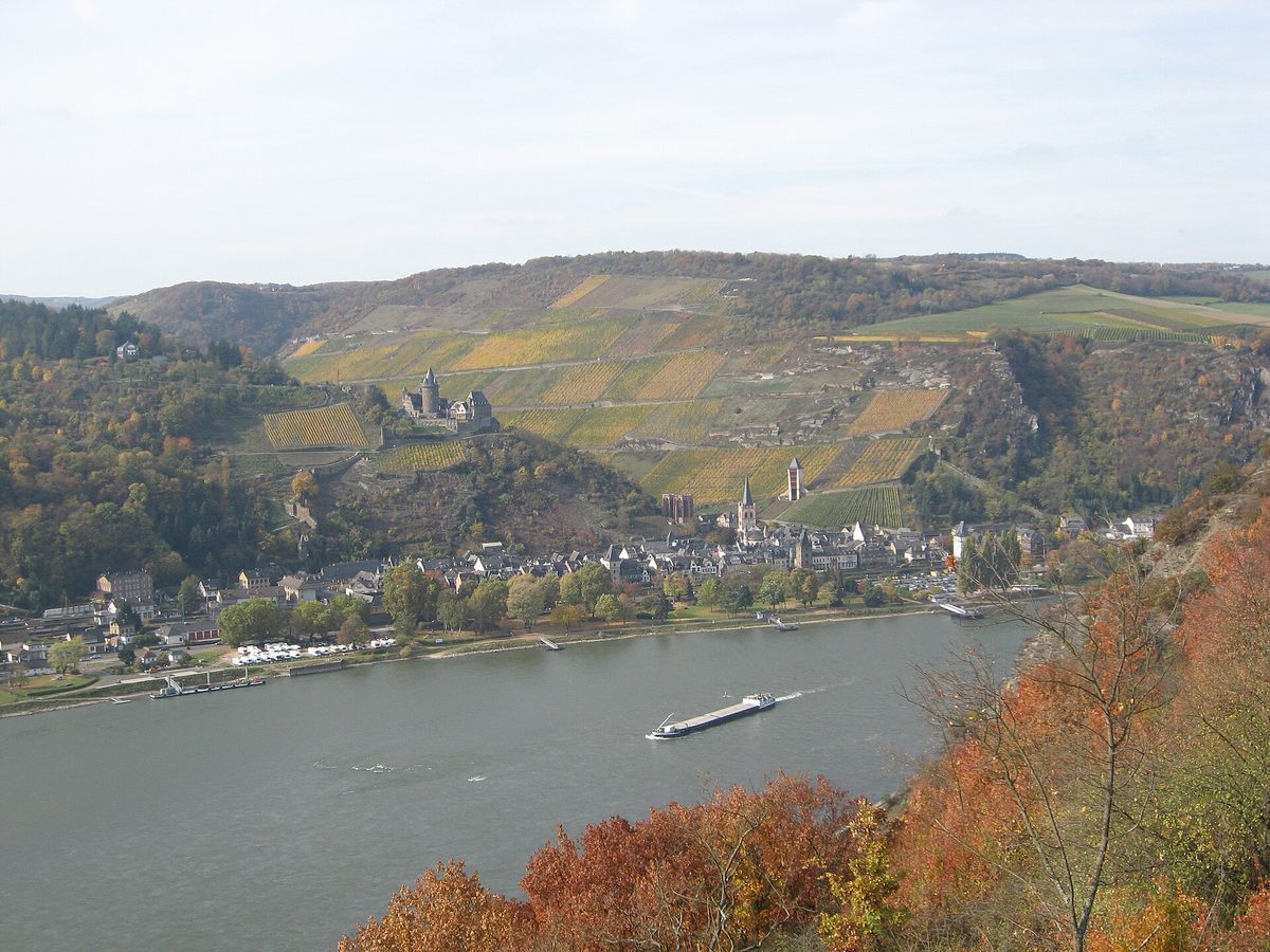 Vineyards and a castle above a village in the Rhine Gorge, classic Rhine river cruise scenery