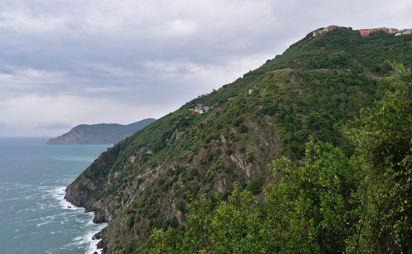 The steep wooded hillside above the sea on the coast path, with Corniglia on the ridge in the distance