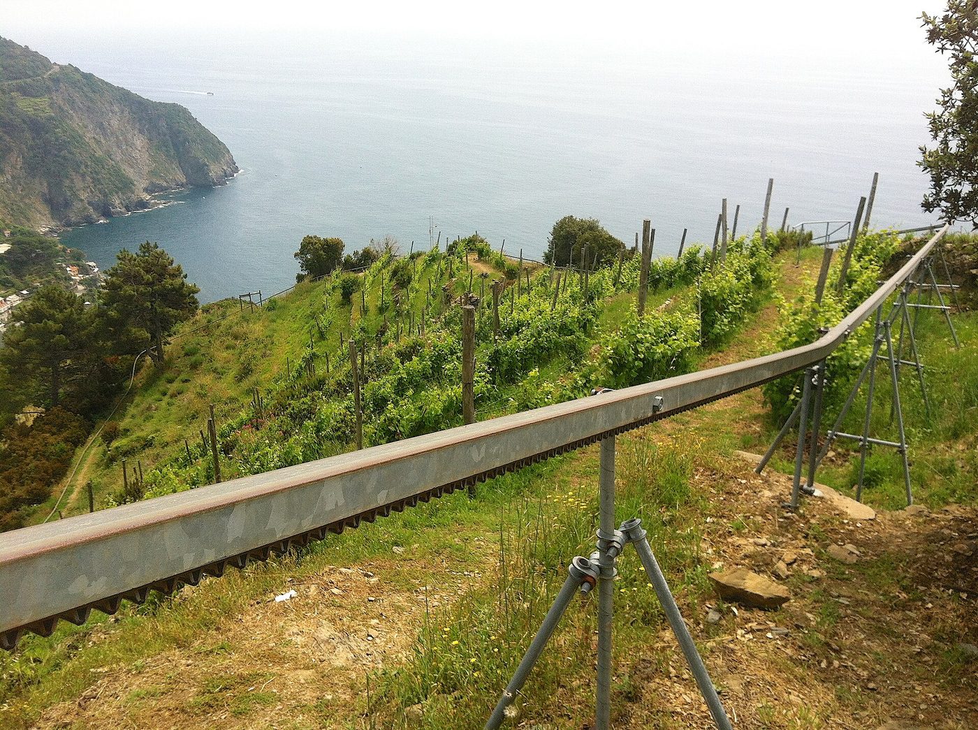 Vineyard terraces above the Cinque Terre coast with the rack monorail used to move grapes downhill