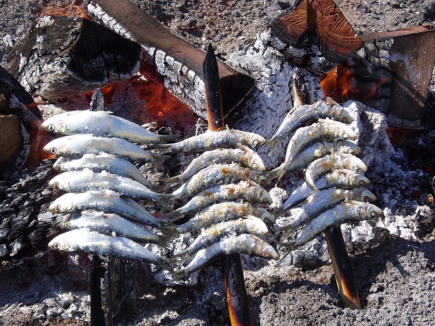Sardine espetos on cane skewers grilling over an open wood fire on a Malaga beach