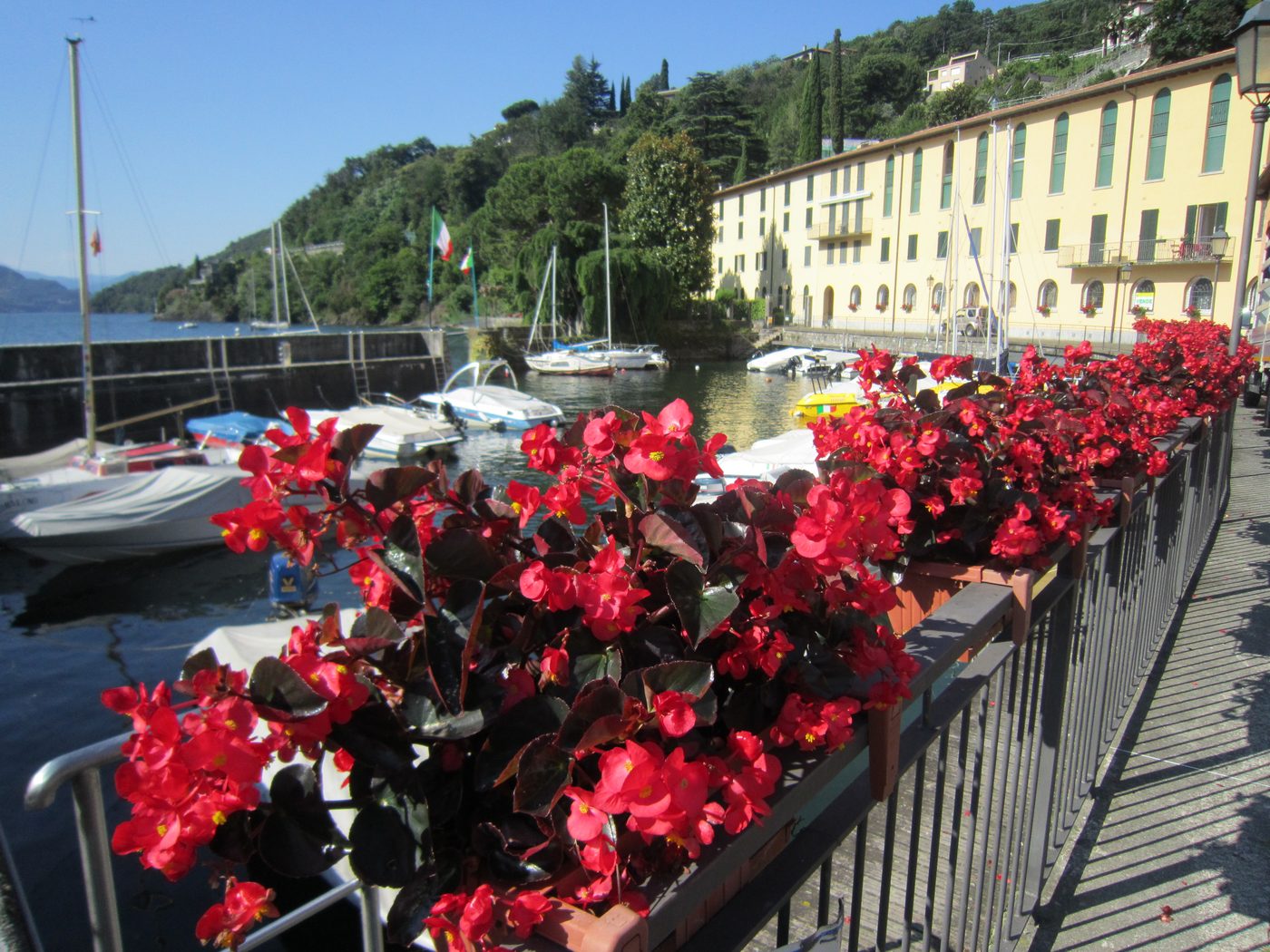 Red begonias along a lakefront railing with moored boats behind, Lake Como