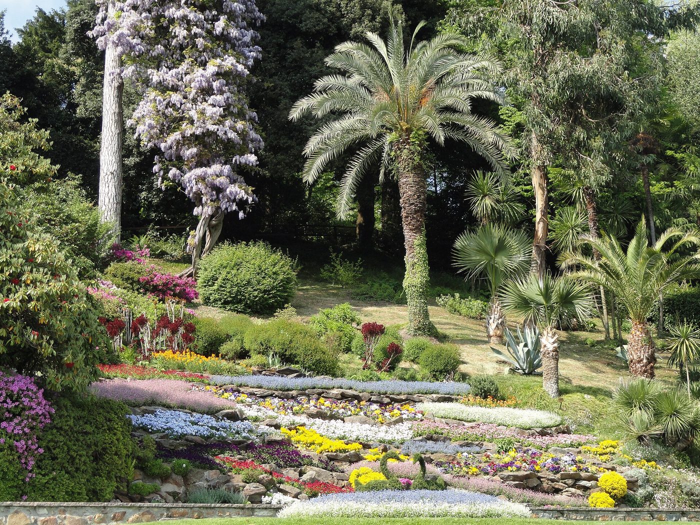 Wisteria, palms and flower beds in the botanical garden of Villa Carlotta at Tremezzo