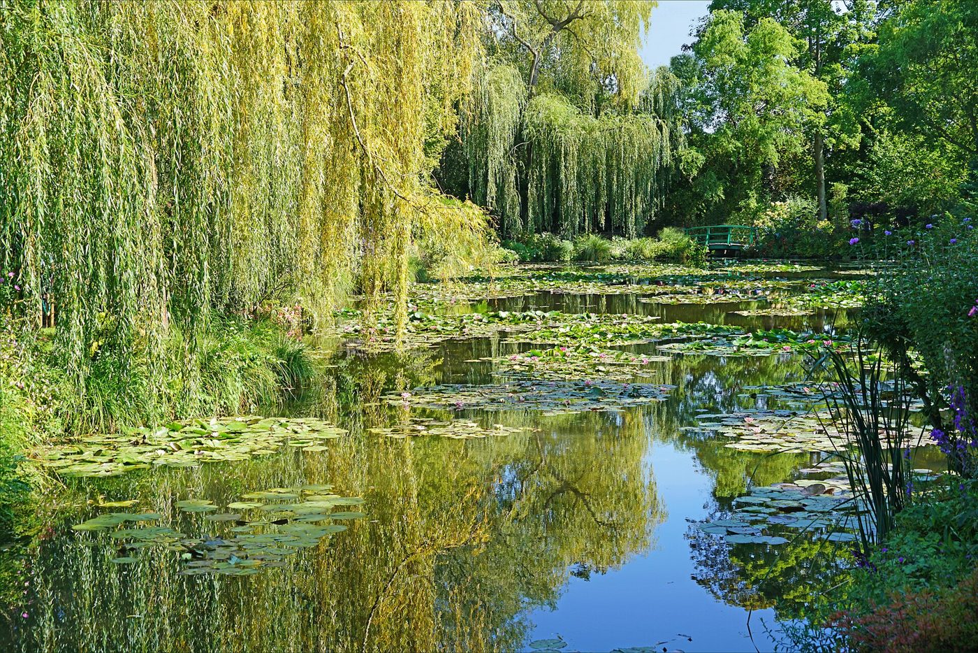 Willows and water lilies on the pond in Claude Monet s water garden at Giverny