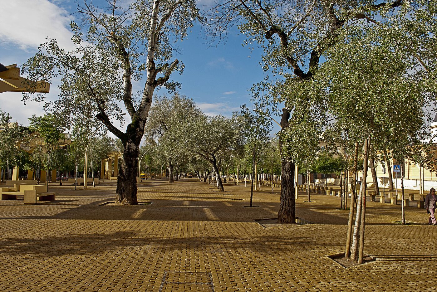 The open plaza of the Alameda de Hércules in Seville