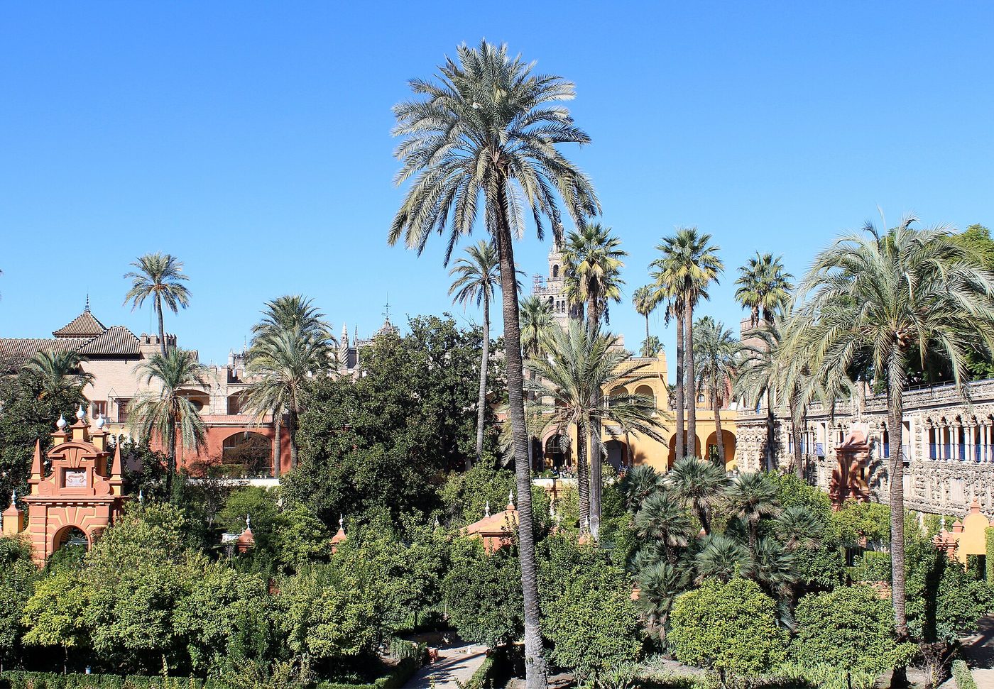 Palms and terraces in the gardens of the Real Alcazar in Seville