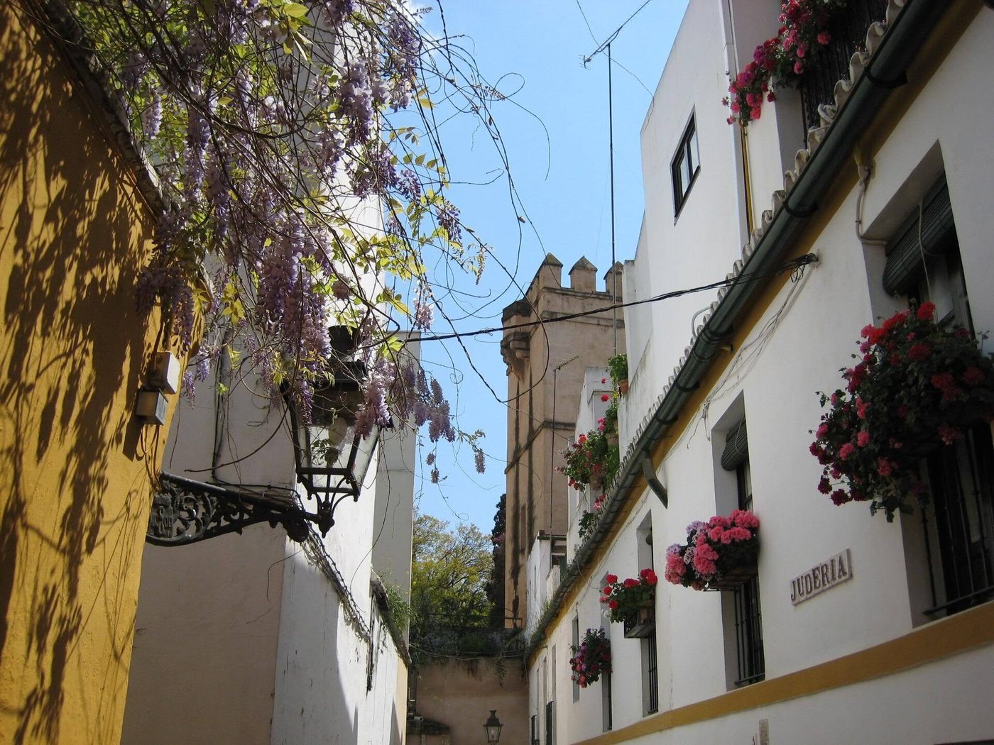 A whitewashed lane hung with wisteria in the Barrio de Santa Cruz, Seville