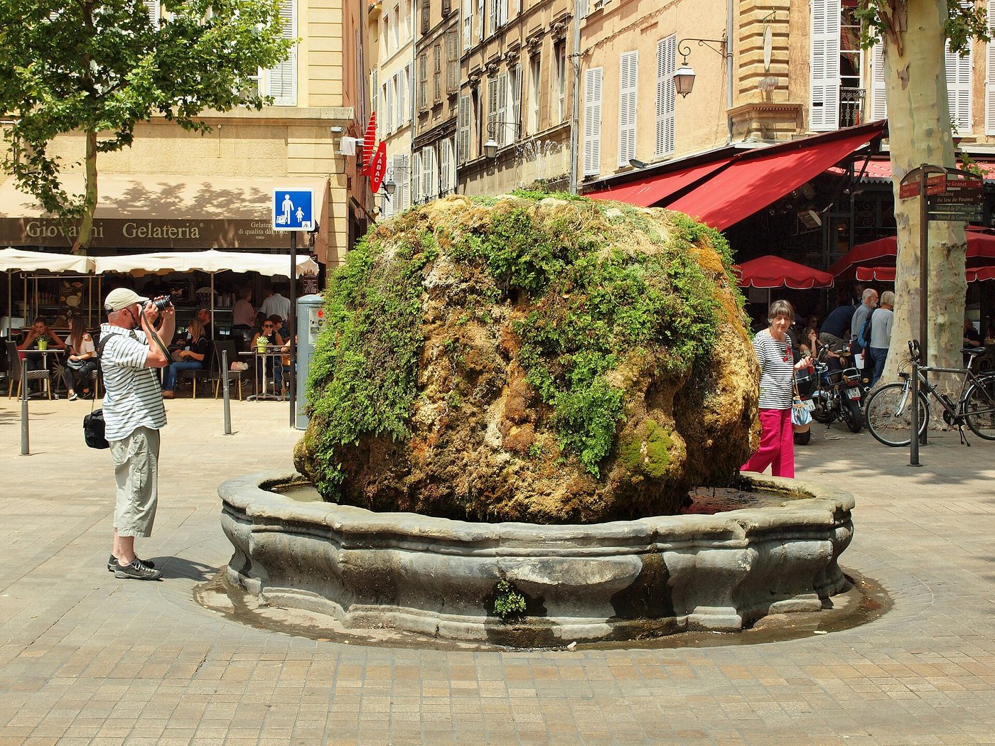 Plane trees lining the Cours Mirabeau in Aix-en-Provence