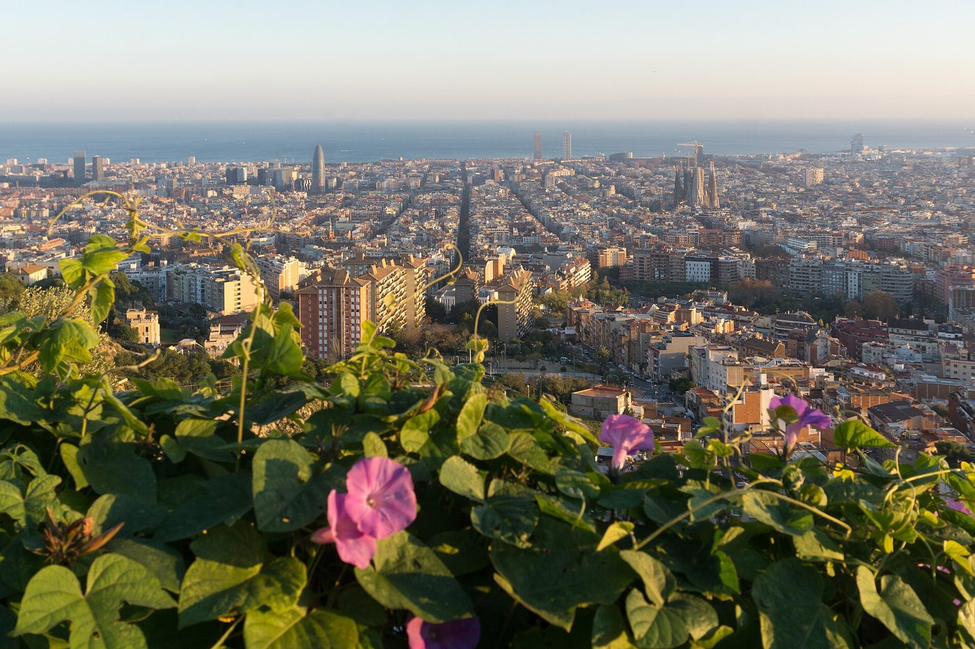 The view over Barcelona from the Bunkers del Carmel