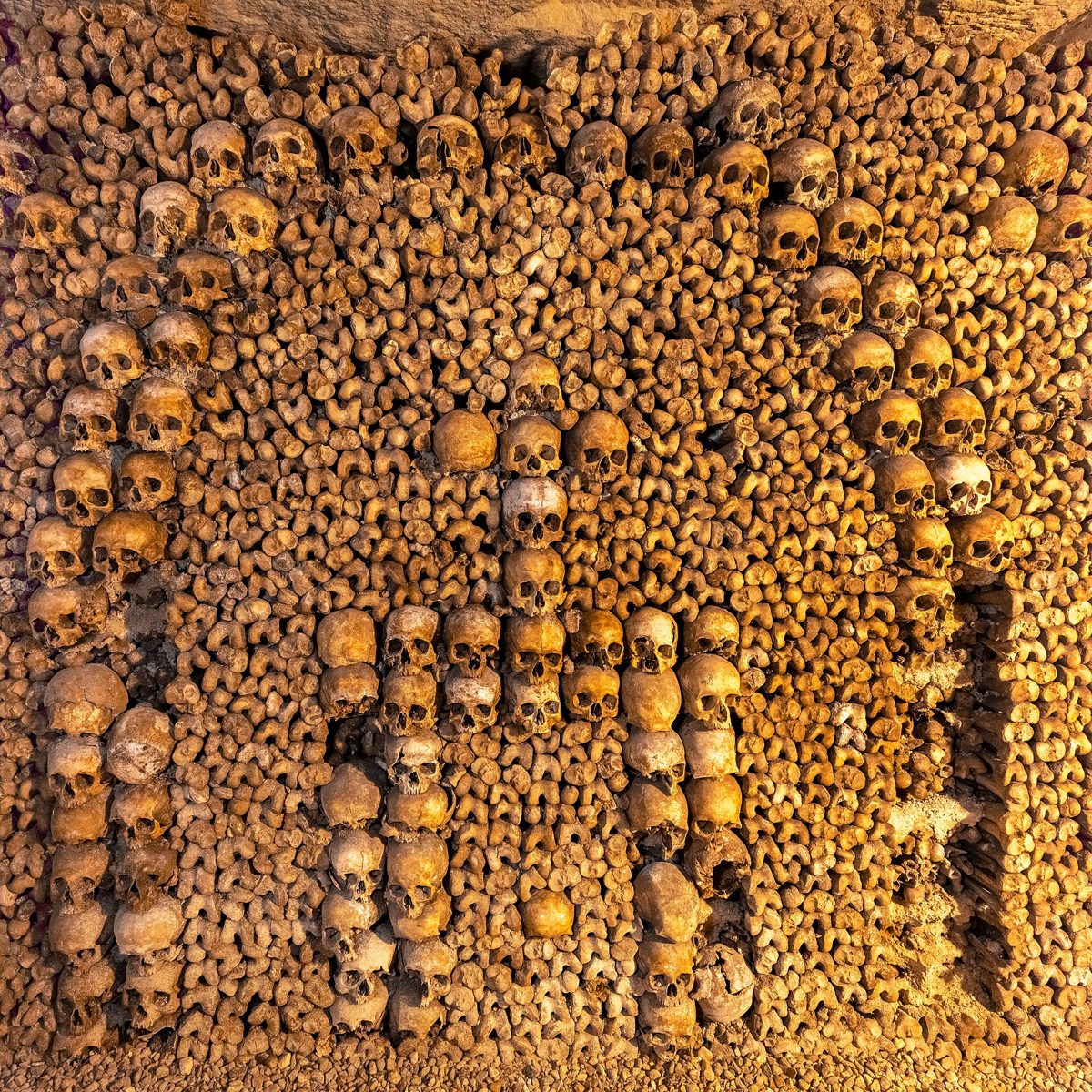 Walls of stacked bones and skulls in the ossuary of the Catacombs of Paris