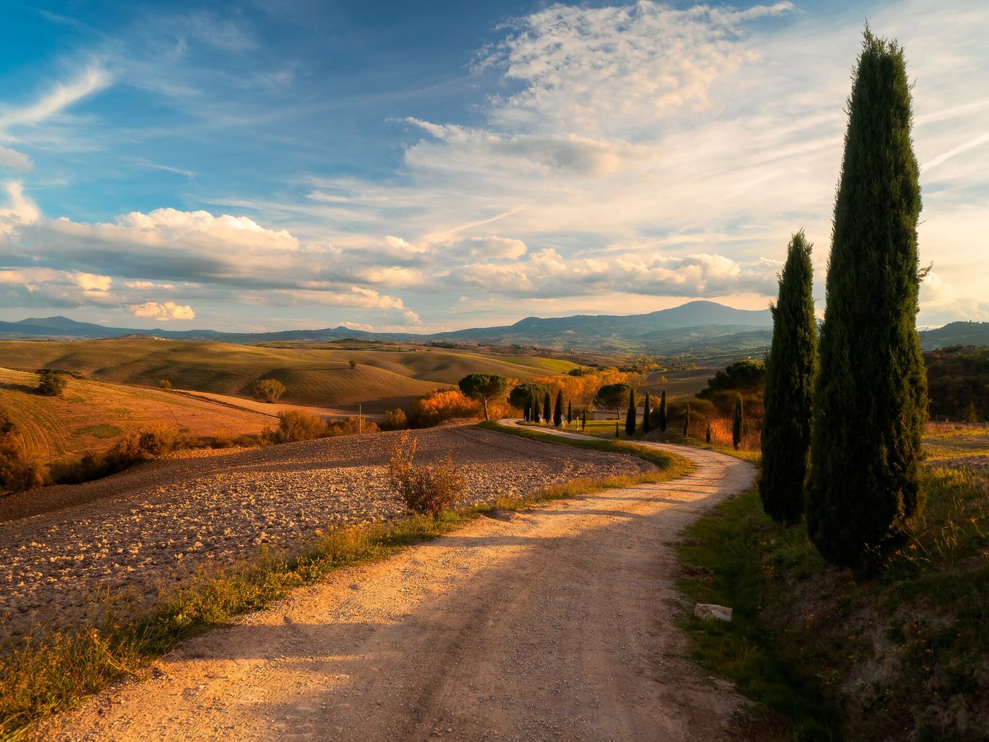A cypress-lined gravel road across the clay hills of the Val d'Orcia in Tuscany